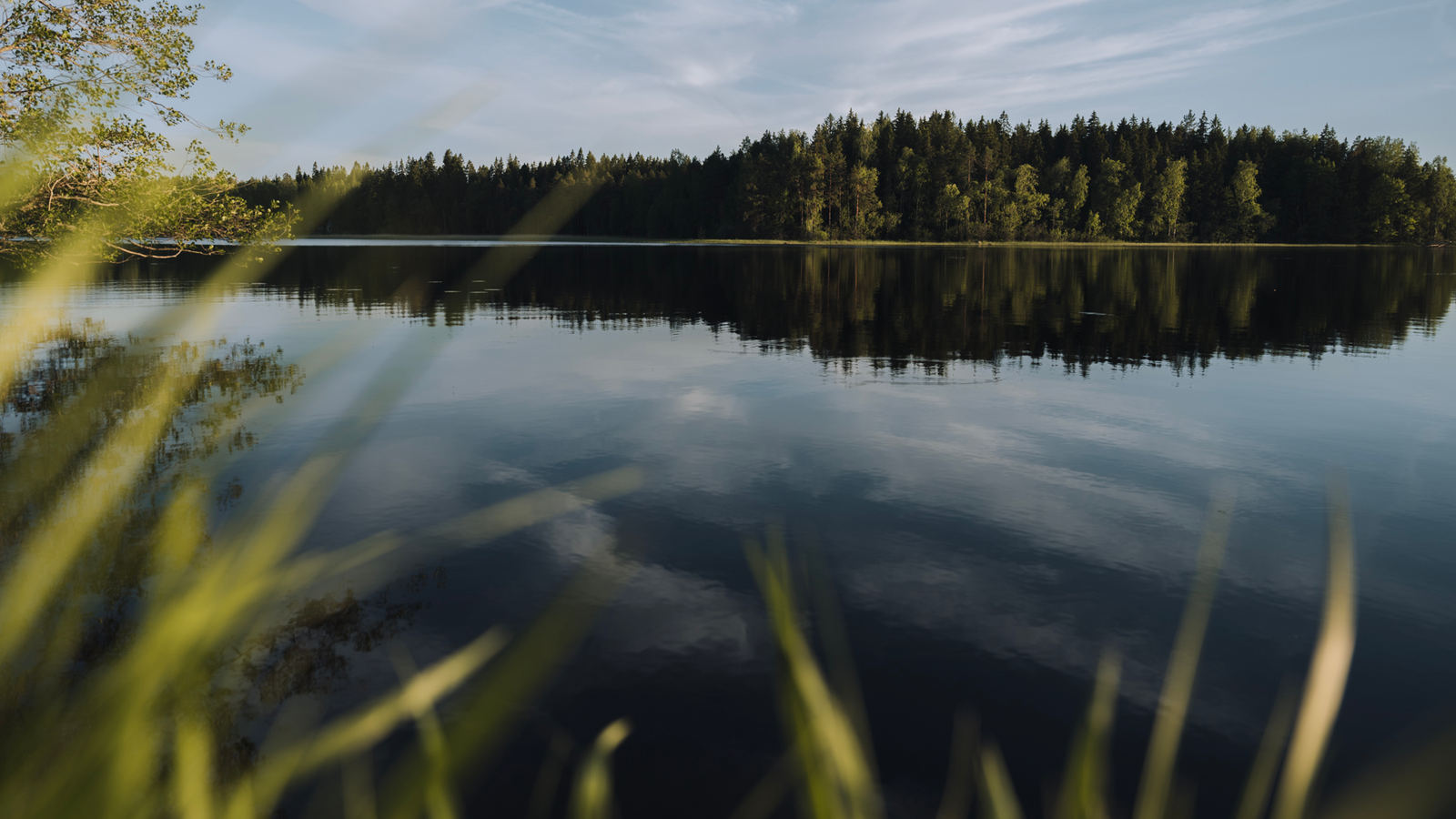 Järvimaisema kesäiltana